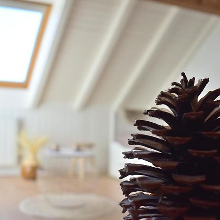 Bel Appartement Dans La Montagne, L'Oree Du Bois Mouthe Dış mekan fotoğraf